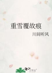重雪覆故痕