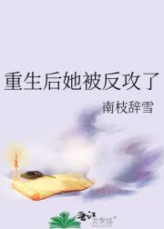 重生后她被反攻了