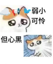 身为普通人的我怎么在特摄世界里存活