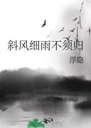 斜风细雨不须归