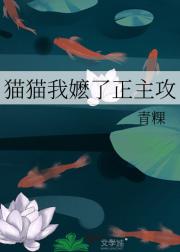 猫猫我嬷了正主攻