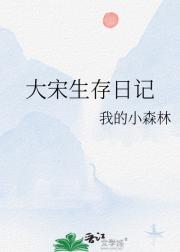 大宋生存日记