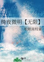 绮夜微明【无限】