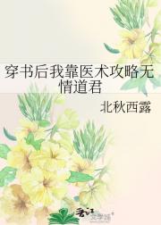 穿书后我靠医术攻略无情道君
