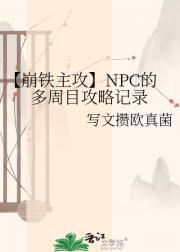 【崩铁主攻】NPC的多周目攻略记录