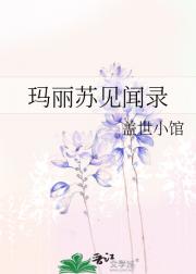 玛丽苏见闻录