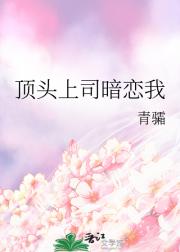 顶头上司暗恋我