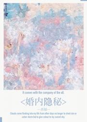 婚内隐秘