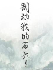 别动我的石头！