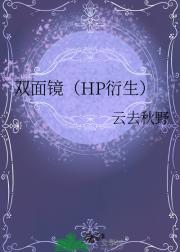 双面镜（HP衍生）