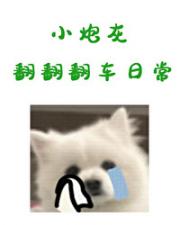 小炮灰翻翻翻车指南