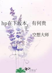 hp在下坂本，有何贵干