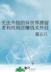 无法升级的异世界滞留者利用网店赚钱买外挂