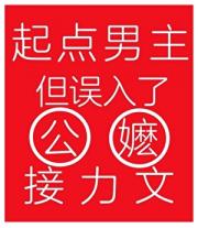 起点男主，但误入了公嬷接力文