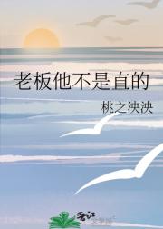 老板他不是直的