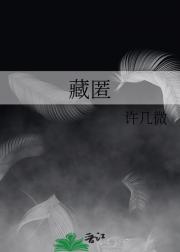 藏匿