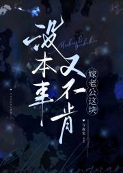 没本事又不肯嫁老公这块