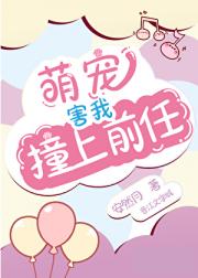 球球你别动了