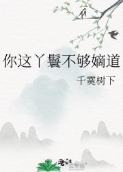 你这丫鬟不够嫡道