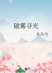 破雾寻光