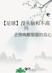 【足球】没头脑和不高兴
