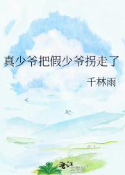 真少爷把假少爷拐走了