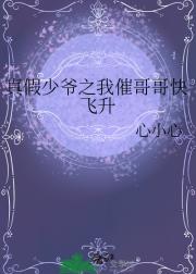 真假少爷之我催哥哥快飞升