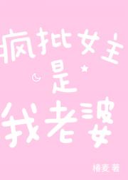 疯批反派是我老婆