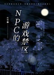 NPC的游戏禁区