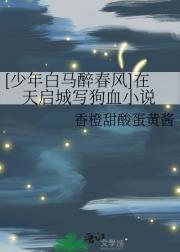 [少年白马醉春风]在天启城写狗血小说