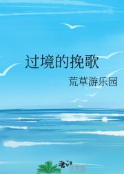 过境的挽歌