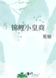 锦鲤小皇商