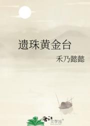 遗珠黄金台