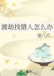 渡劫找错人怎么办