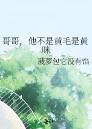 哥哥，他不是黄毛是黄咪