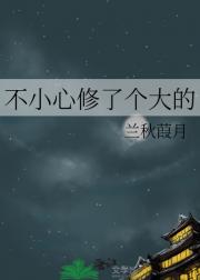 镖镖飞升