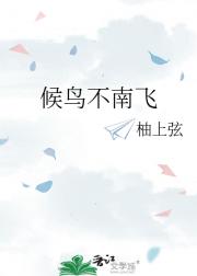 候鸟不南飞