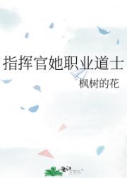 指挥官她职业道士