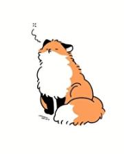 捡到一只小狐狸O！［全息］