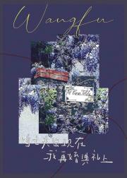 当亡夫出现在我再婚典礼上