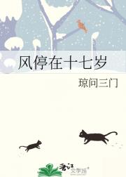 风停在十七岁