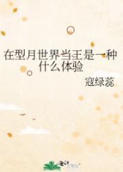 在型月世界当王是一种什么体验