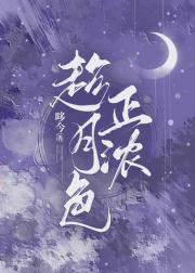 趁月色正浓