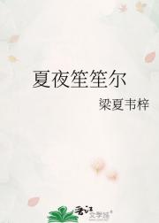 夏夜笙笙尔