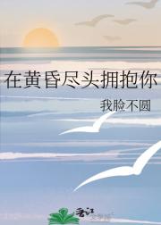 在黄昏尽头拥抱你