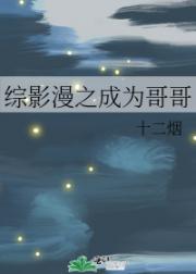 综影漫之成为哥哥