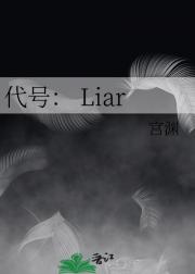 代号： Liar