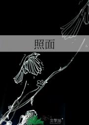 照面