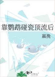 靠鹦鹉碰瓷顶流后