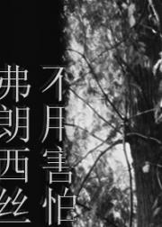 [HP]不用害怕，弗朗西丝